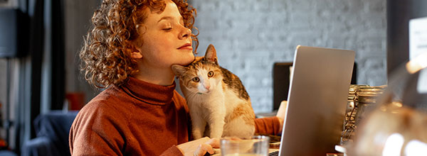 Tipps Home-Office Tipps Home-Office